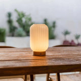 Lilly Light Brown Unique Rechargeable Lamp