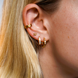 Hive Hoops