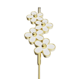 Ivory Daisy