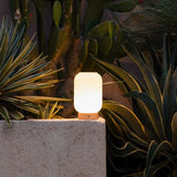Lilly Light Brown Unique Rechargeable Lamp