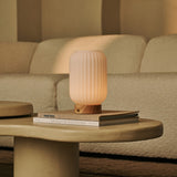 Lilly Light Brown Unique Rechargeable Lamp