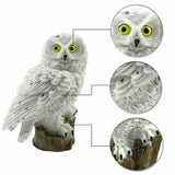 Solar Owl Statue Garden Light LED Waterproof Powered Outdoor Decoration for Garden Patio, Animal Owl Shape Solar Led Light
