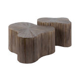Salontafel Solene - Japandi - Organisch - Teakhout - Set van 2