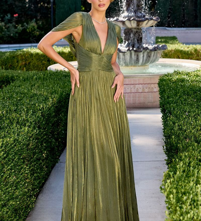 Astrid Gown - Draped Cap Sleeve Shimmer Chiffon Dress