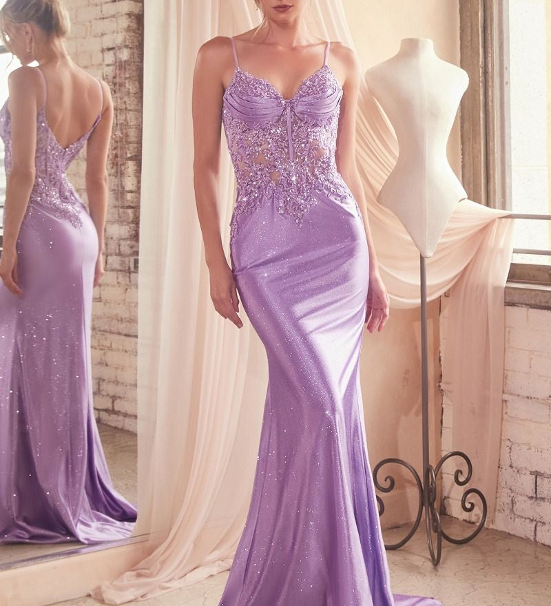 Jodie Gown - Fitted Lace Appliqué Evening Dress